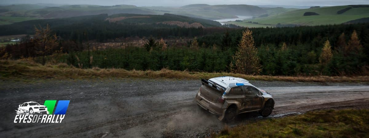 Volkswagen Polo R WRC